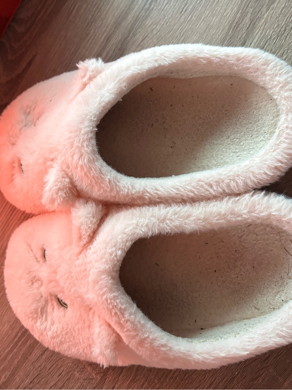 Worn in House Slippers - Picture 3 of 3